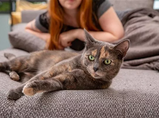 Katze mit Frauchen auf Sofa