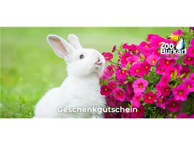 Online Gutschein Kleintiere Online Gutschein Kleintiere