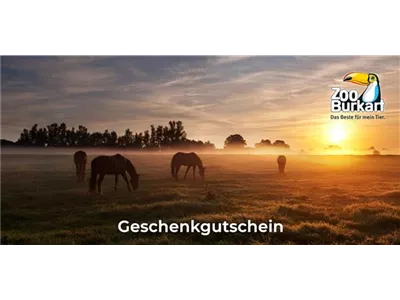 Online Gutschein Pferd Online Gutschein Pferd