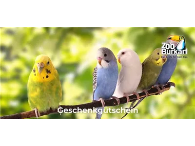 Online Gutschein Vogel Online Gutschein Vogel