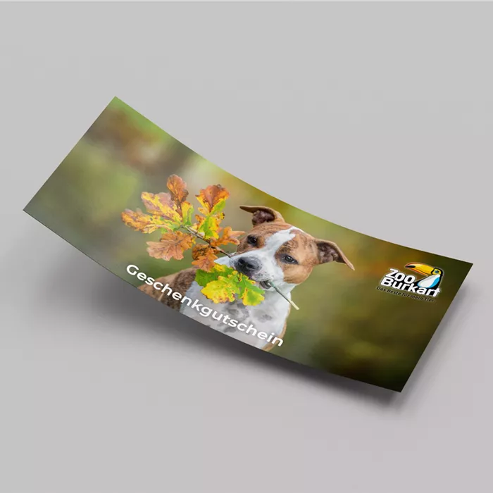 Gutscheine Gutscheine