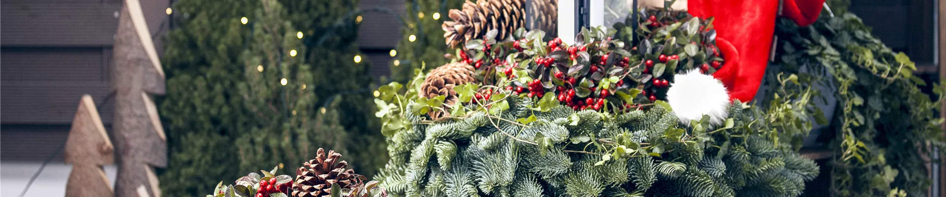 GS426301.jpg GS426301.jpg