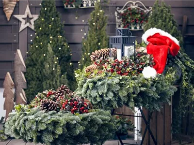 Adventskalender für Hund und Katze Adventskalender für Hund und Katze