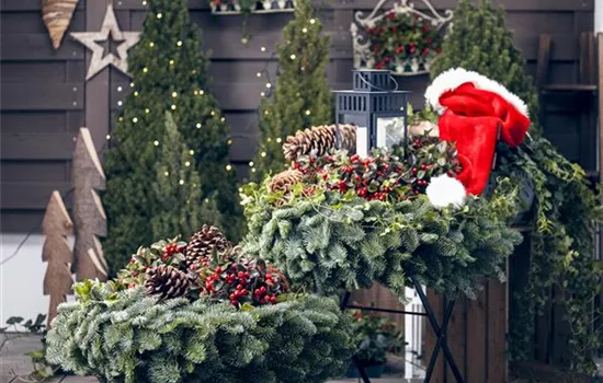 Adventskalender für Hund und Katze Adventskalender für Hund und Katze