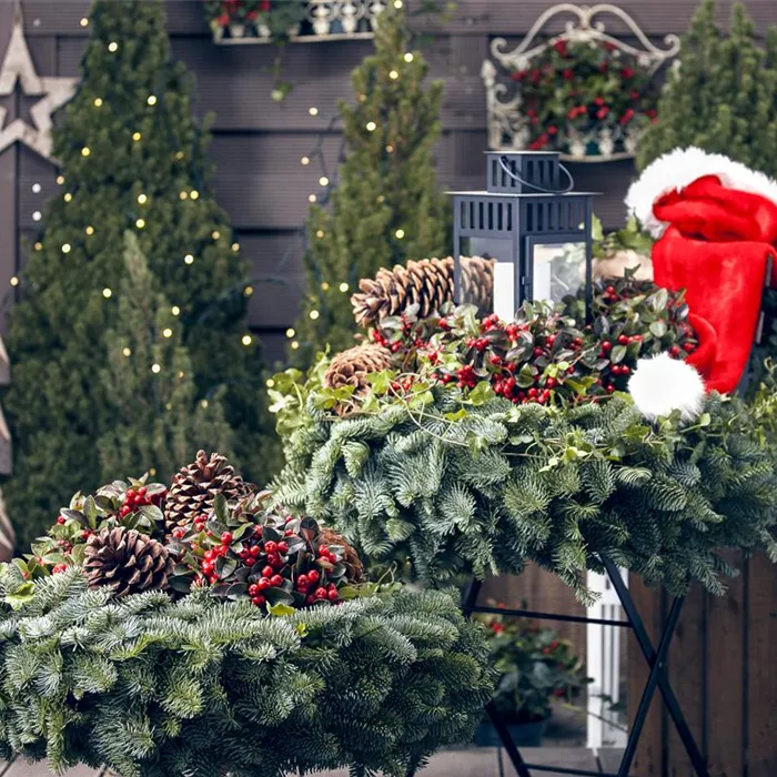 Adventskalender für Hund und Katze