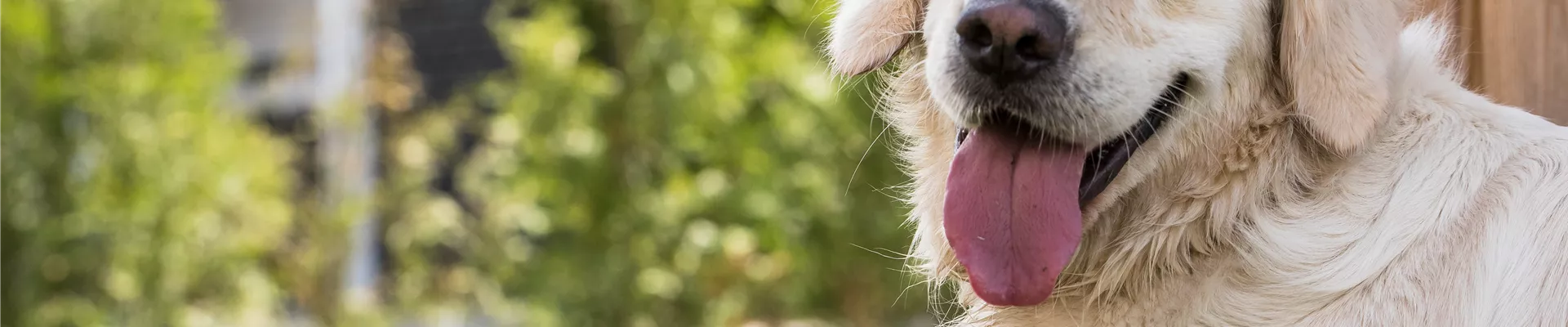 GS535857.jpg GS535857.jpg