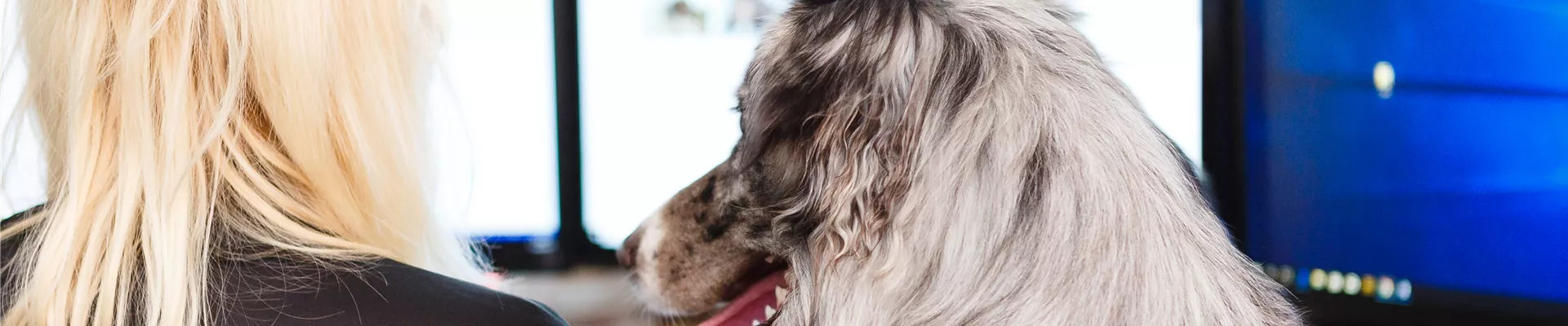 GS532603.jpg GS532603.jpg