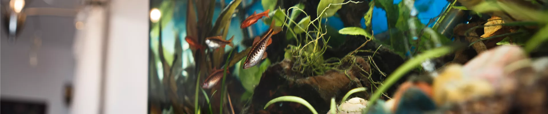 GS535175.jpg GS535175.jpg