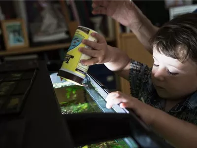 Fische richtig füttern – natürliche Ernährung im Aquarium Fische richtig füttern – natürliche Ernährung im Aquarium