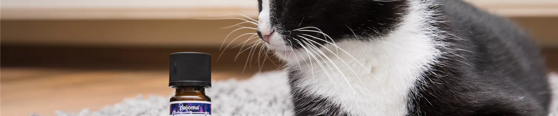 GS535890.jpg GS535890.jpg