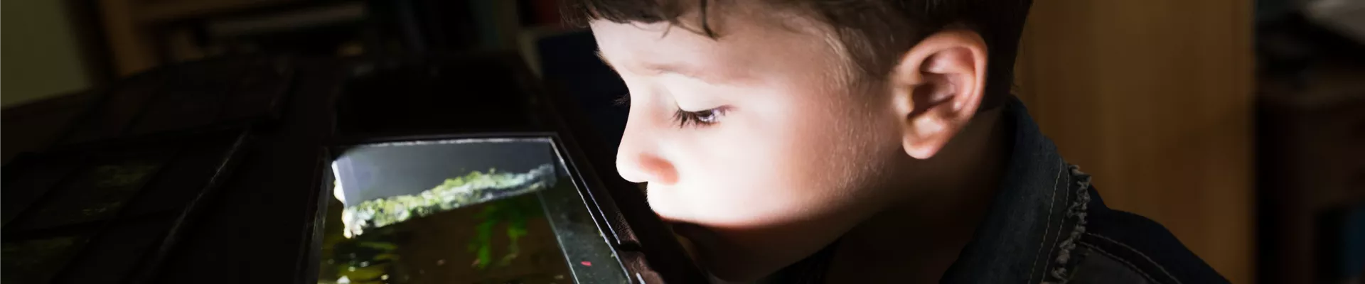 GS584194.jpg GS584194.jpg