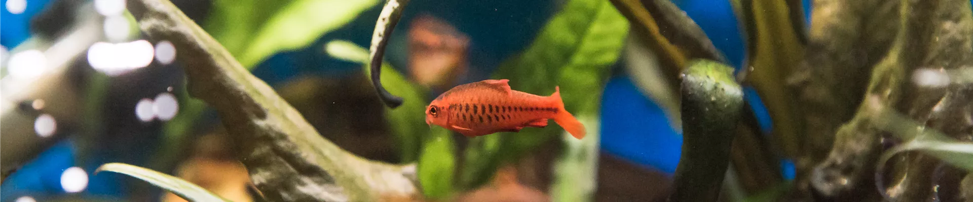 GS536440.jpg GS536440.jpg