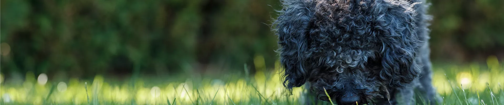 GS536141.jpg GS536141.jpg