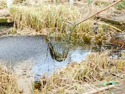 Den Gartenteich winterfest machen – So geht’s! Den Gartenteich winterfest machen – So geht’s!