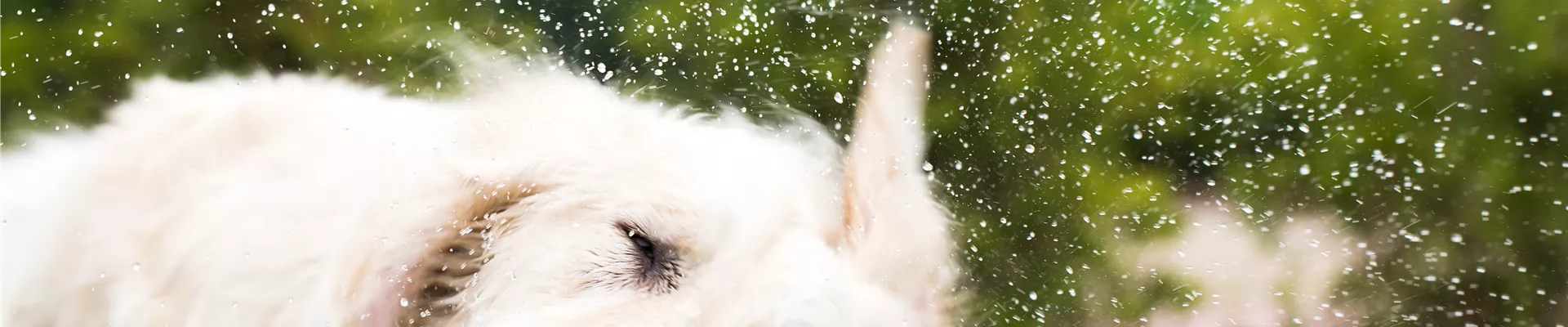 GS535812.jpg GS535812.jpg