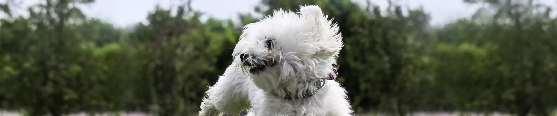 GS535854.jpg GS535854.jpg