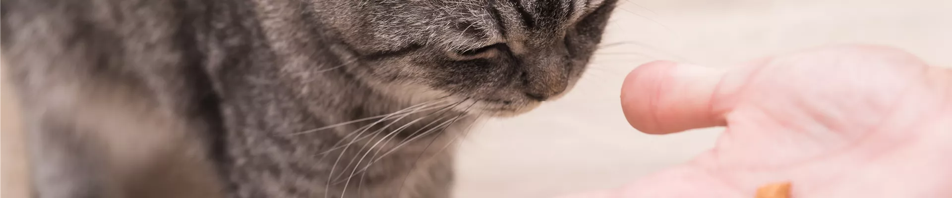 GS584321.jpg GS584321.jpg