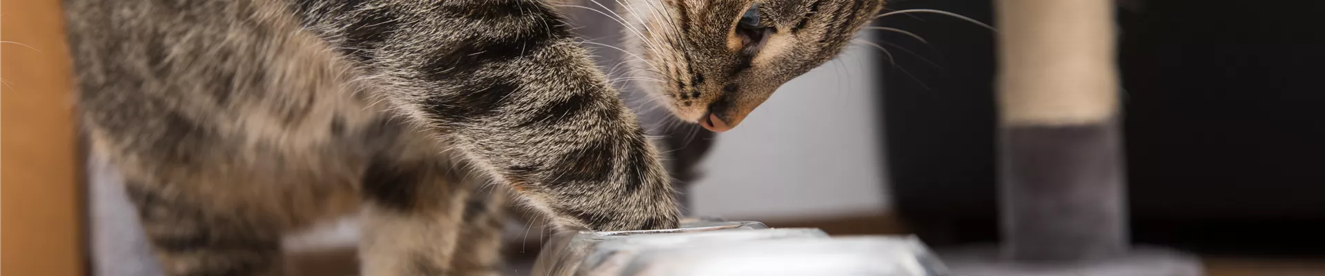 GS535878.jpg GS535878.jpg