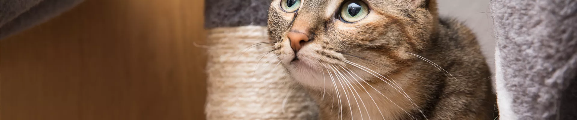 GS535920.jpg GS535920.jpg