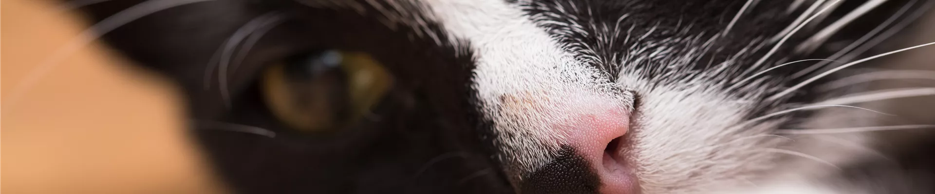 GS535924.jpg GS535924.jpg