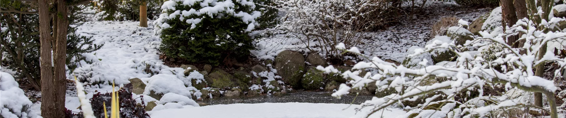 GS456455.jpg GS456455.jpg