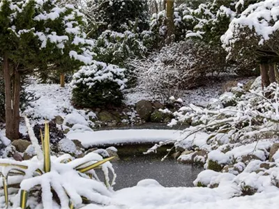 Eisfreihalter – nützliche Tools für den Teich im Winter Eisfreihalter – nützliche Tools für den Teich im Winter