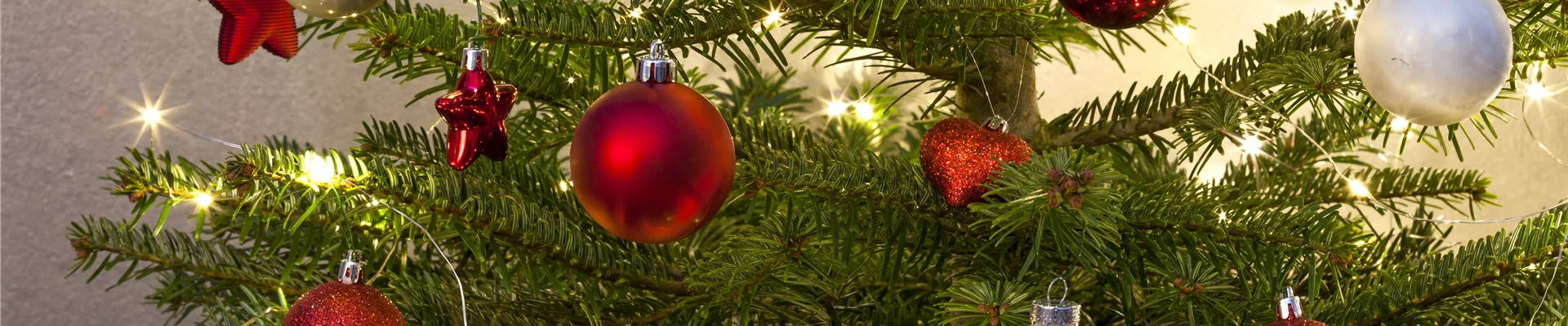 GS506368.jpg GS506368.jpg