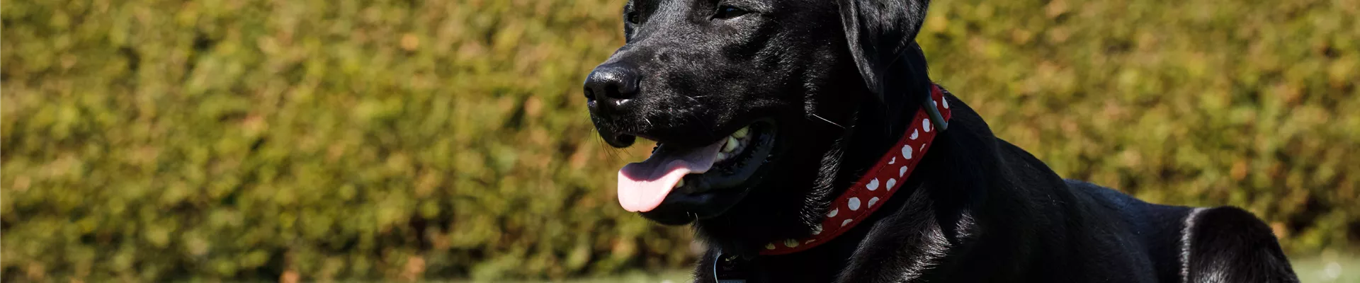 GS536087.jpg GS536087.jpg