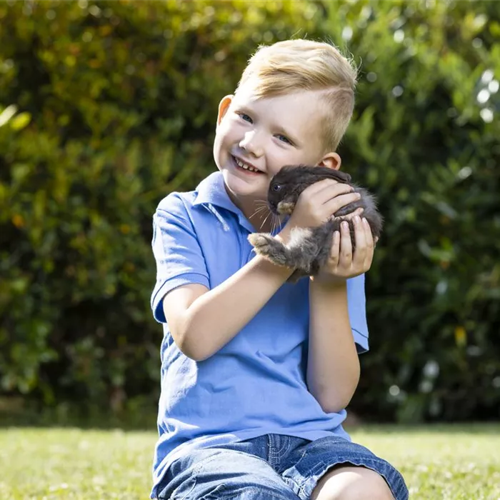 Internationaler Welttierschutztag – zum Wohl der Tiere Internationaler Welttierschutztag – zum Wohl der Tiere