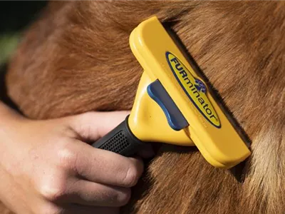 FURminator – Das praktische Hilfsmittel bei der Fellpflege FURminator – Das praktische Hilfsmittel bei der Fellpflege