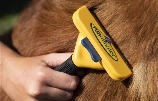 FURminator – Das praktische Hilfsmittel bei der Fellpflege FURminator – Das praktische Hilfsmittel bei der Fellpflege