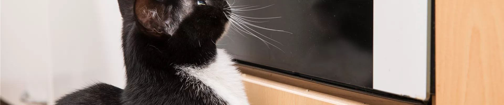 GS535901.jpg GS535901.jpg