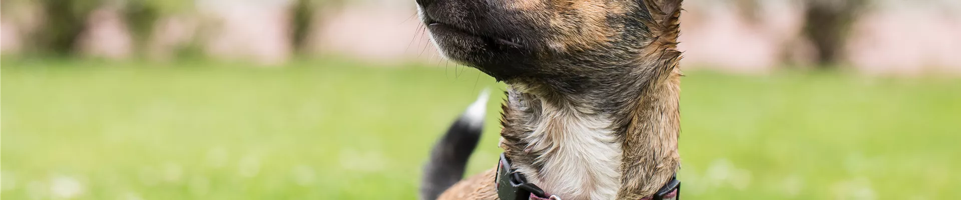 GS535783.jpg GS535783.jpg