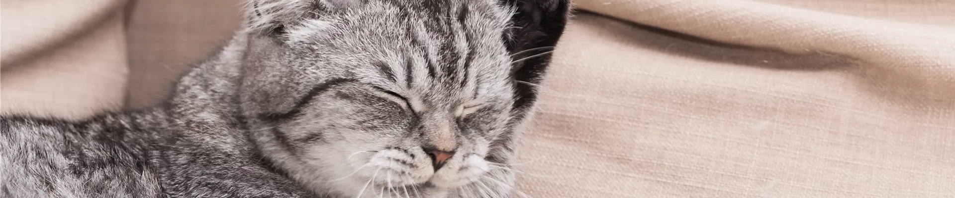 GS584327.jpg GS584327.jpg