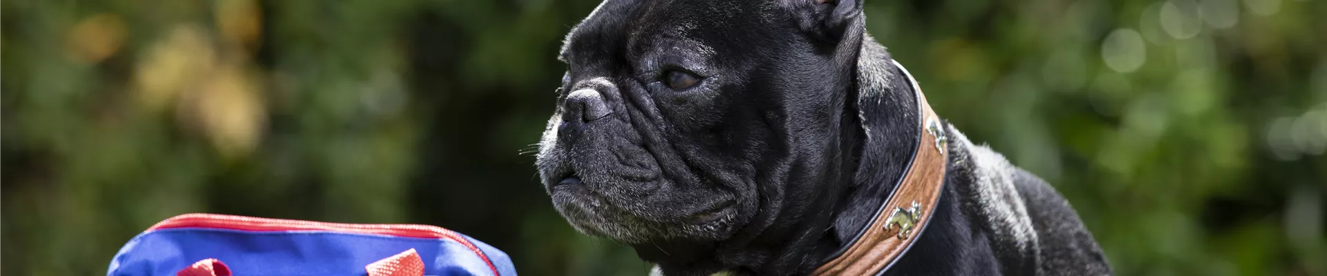 GS585948.jpg GS585948.jpg