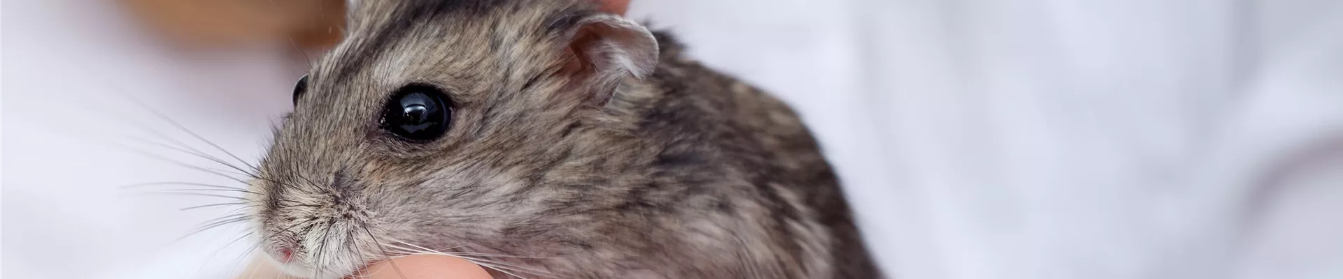 Fotolia_45124687_Subscription_XL-0-1068-3310-709.jpg Fotolia_45124687_Subscription_XL-0-1068-3310-709.jpg