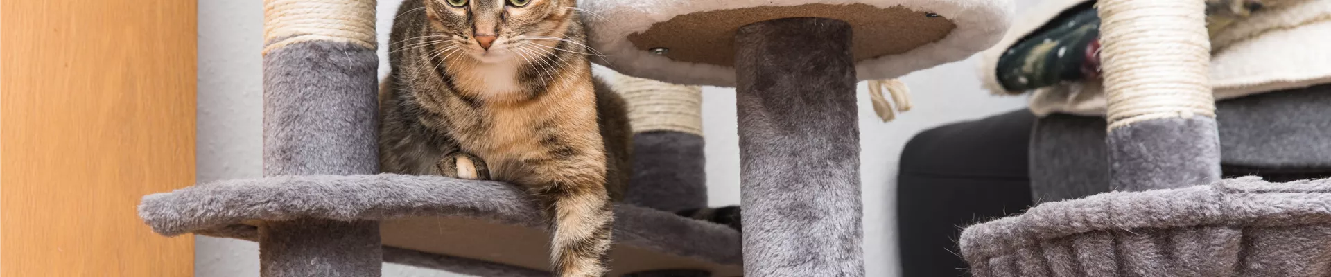 GS535868.jpg GS535868.jpg