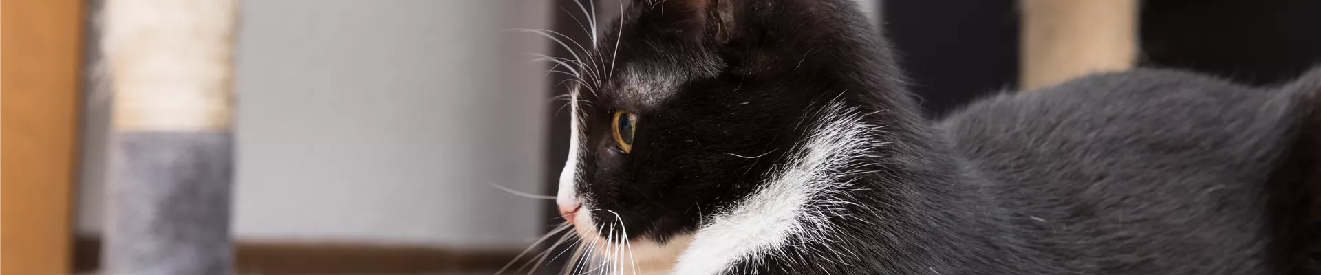 GS535860.jpg GS535860.jpg