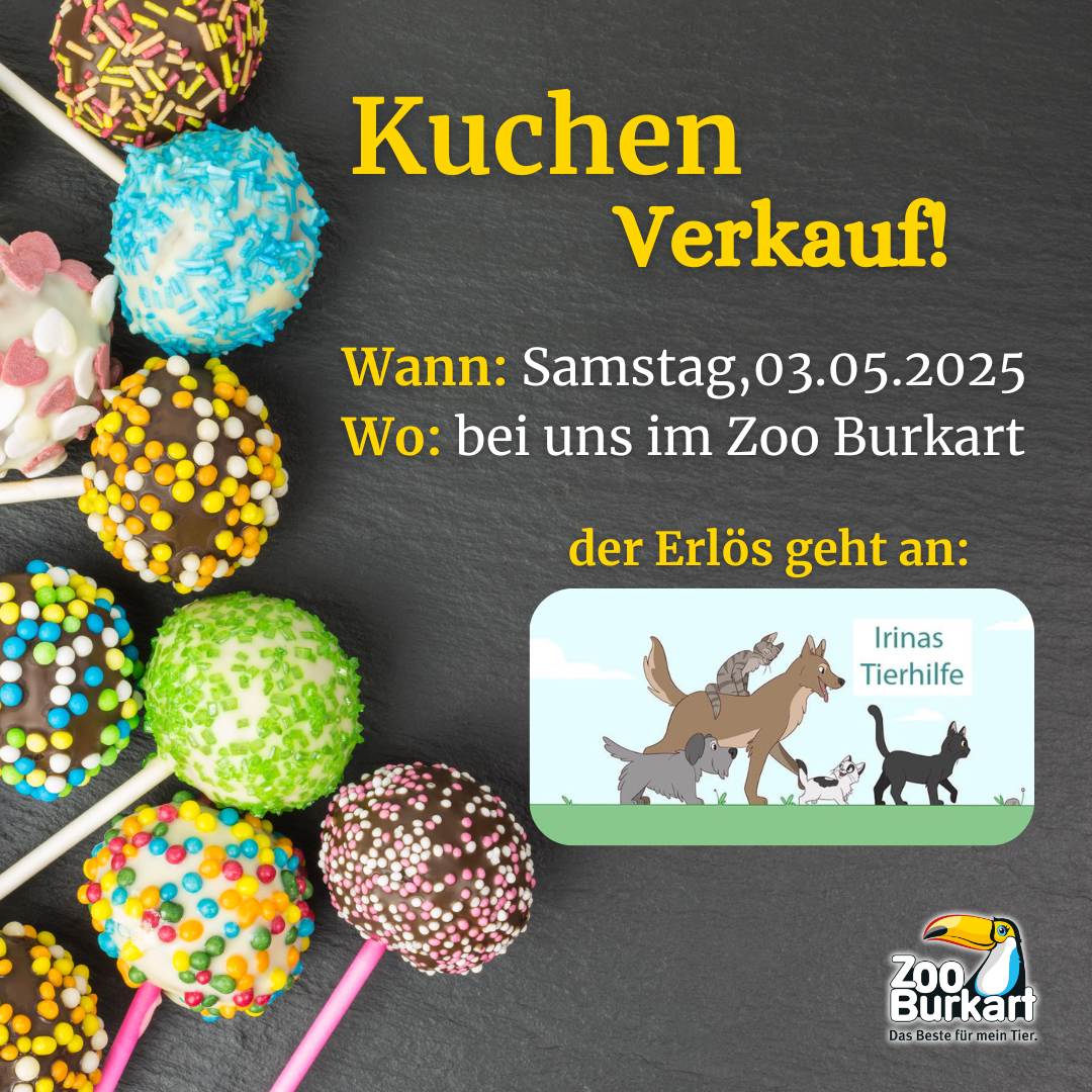 Kuchenverkauf Instagram Story (1080 x 1080 px) (002).png