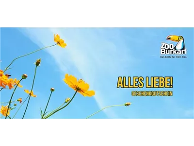 Online Gutschein sonstige Anlässe Online Gutschein sonstige Anlässe