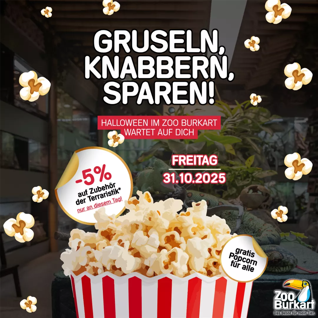 Burkart_Website halloween-Popcorn (1080 x 1080 px).png