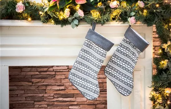 Leckere Nikolaus – Geschenke für Hund und Katze Leckere Nikolaus – Geschenke für Hund und Katze