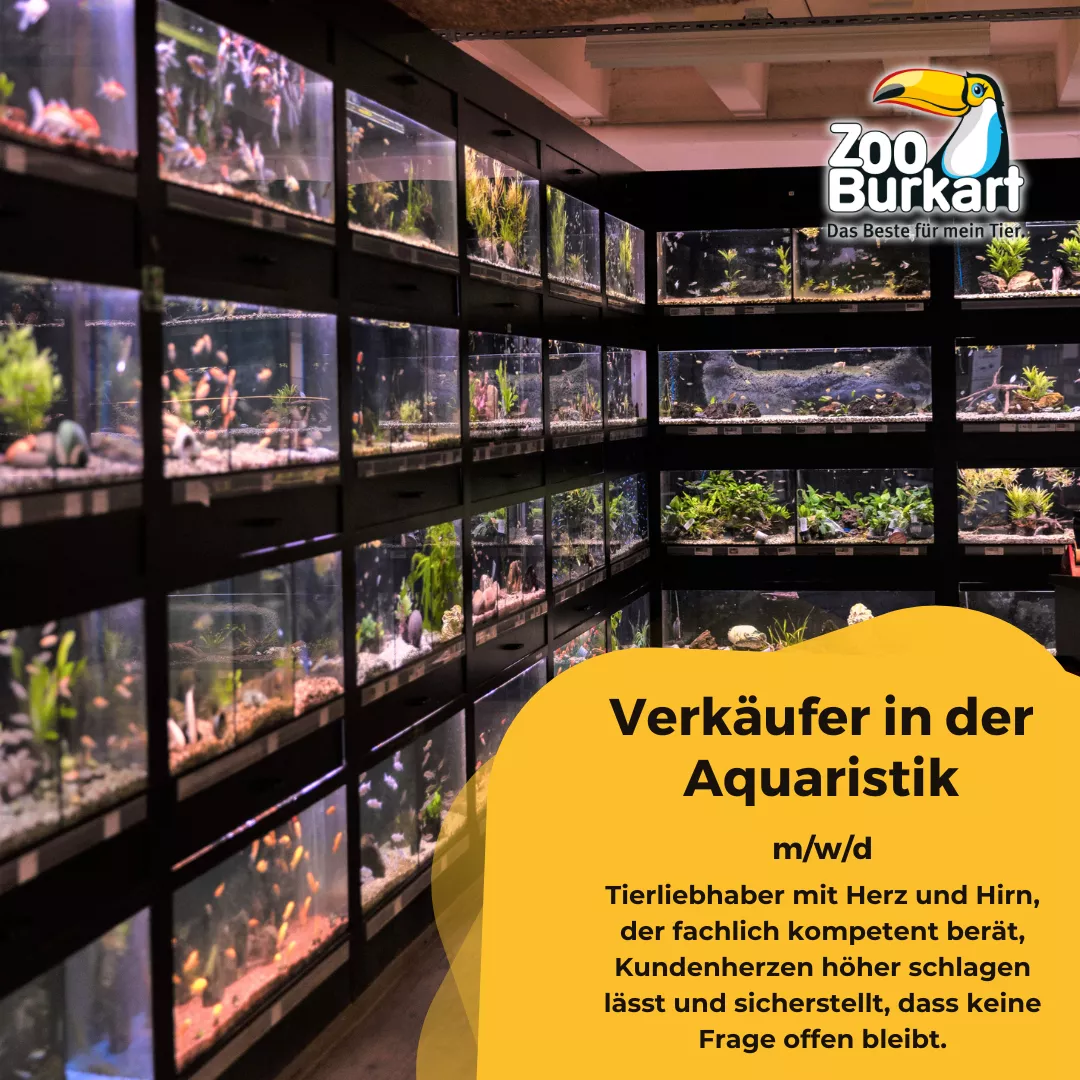 Verkäufer Aquaristik (m/w/d) 