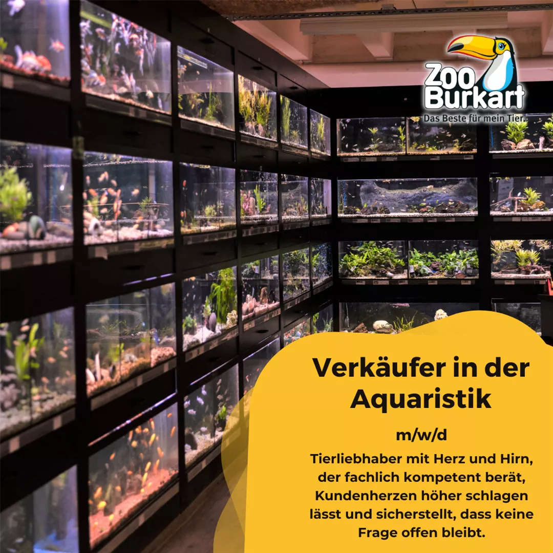 Verkäufer Aquaristik (m/w/d) 