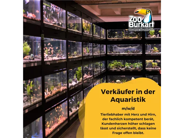 Verkäufer Aquaristik (m/w/d) 