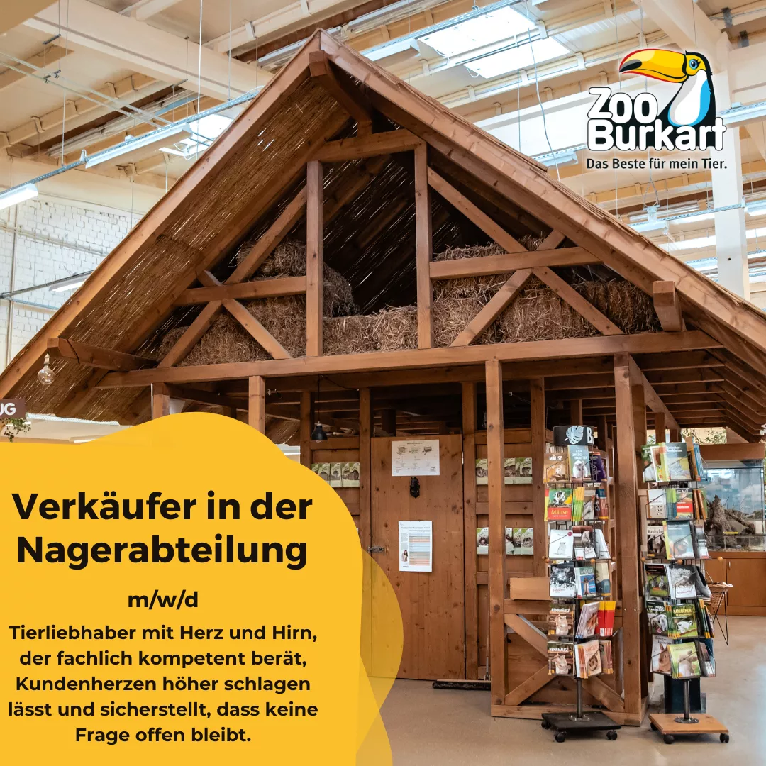 Verkäufer Nagerabteilung