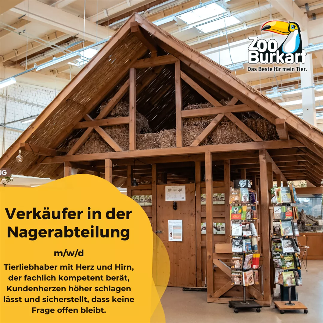 Verkäufer Nagerabteilung