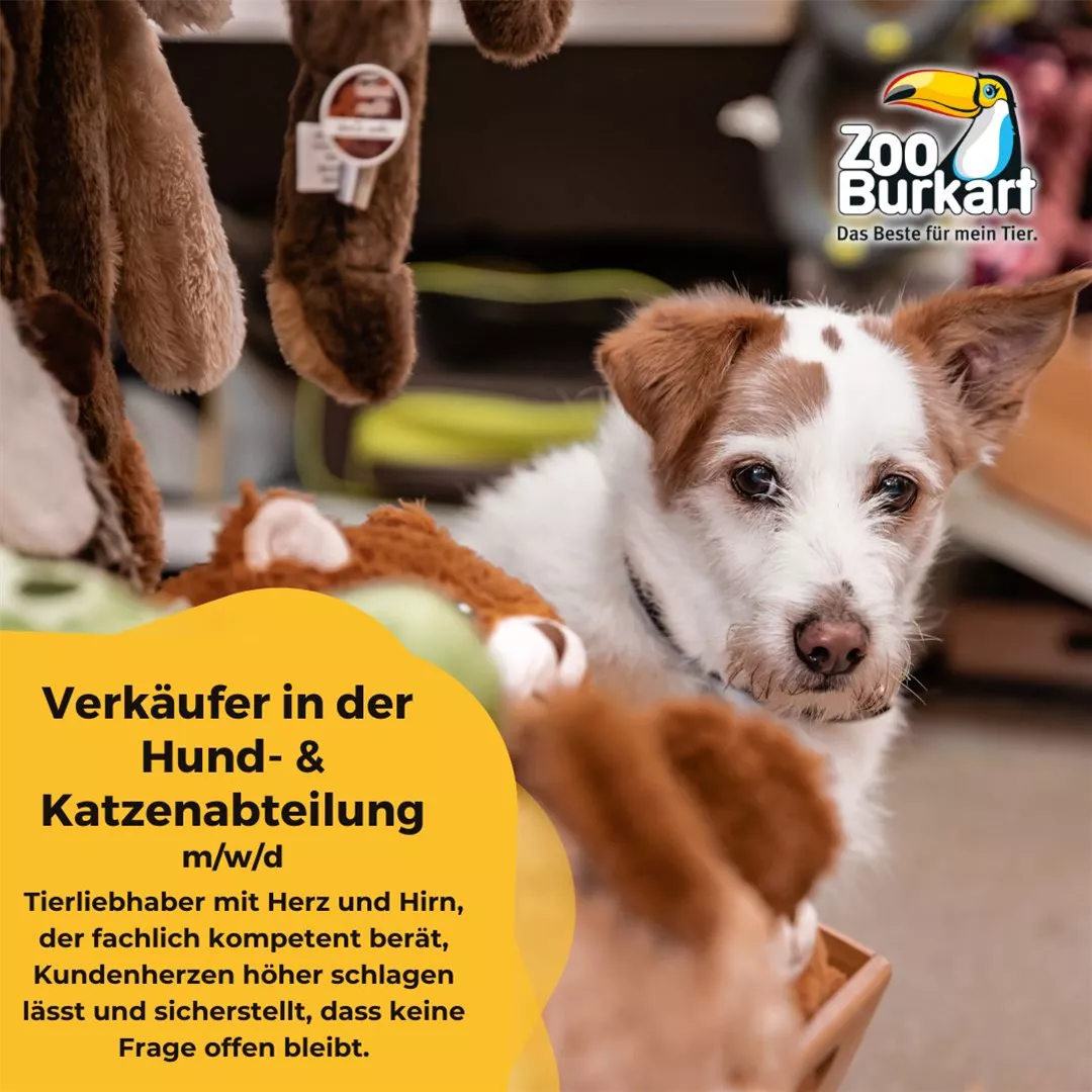 Verkäufer Hund-& Katzenabteilung