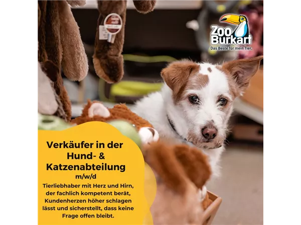 Verkäufer Hund-& Katzenabteilung