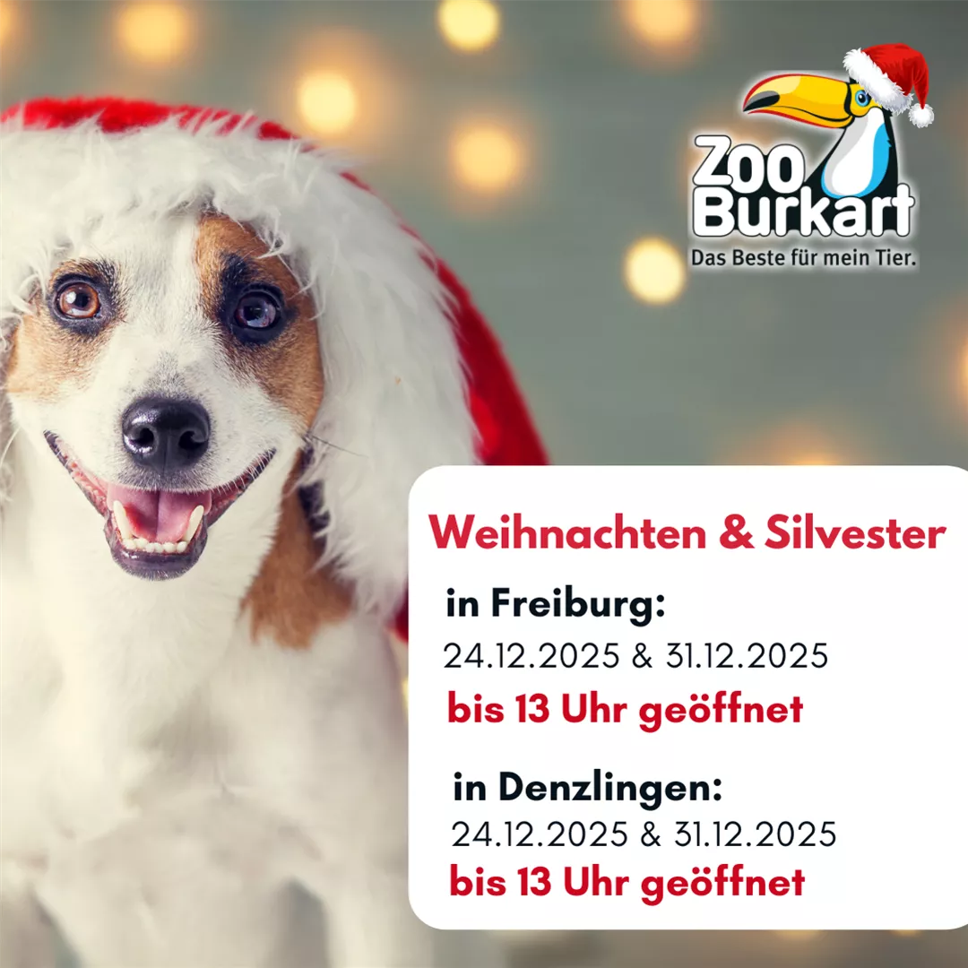 Weihnachten.png